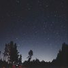midnight_evee